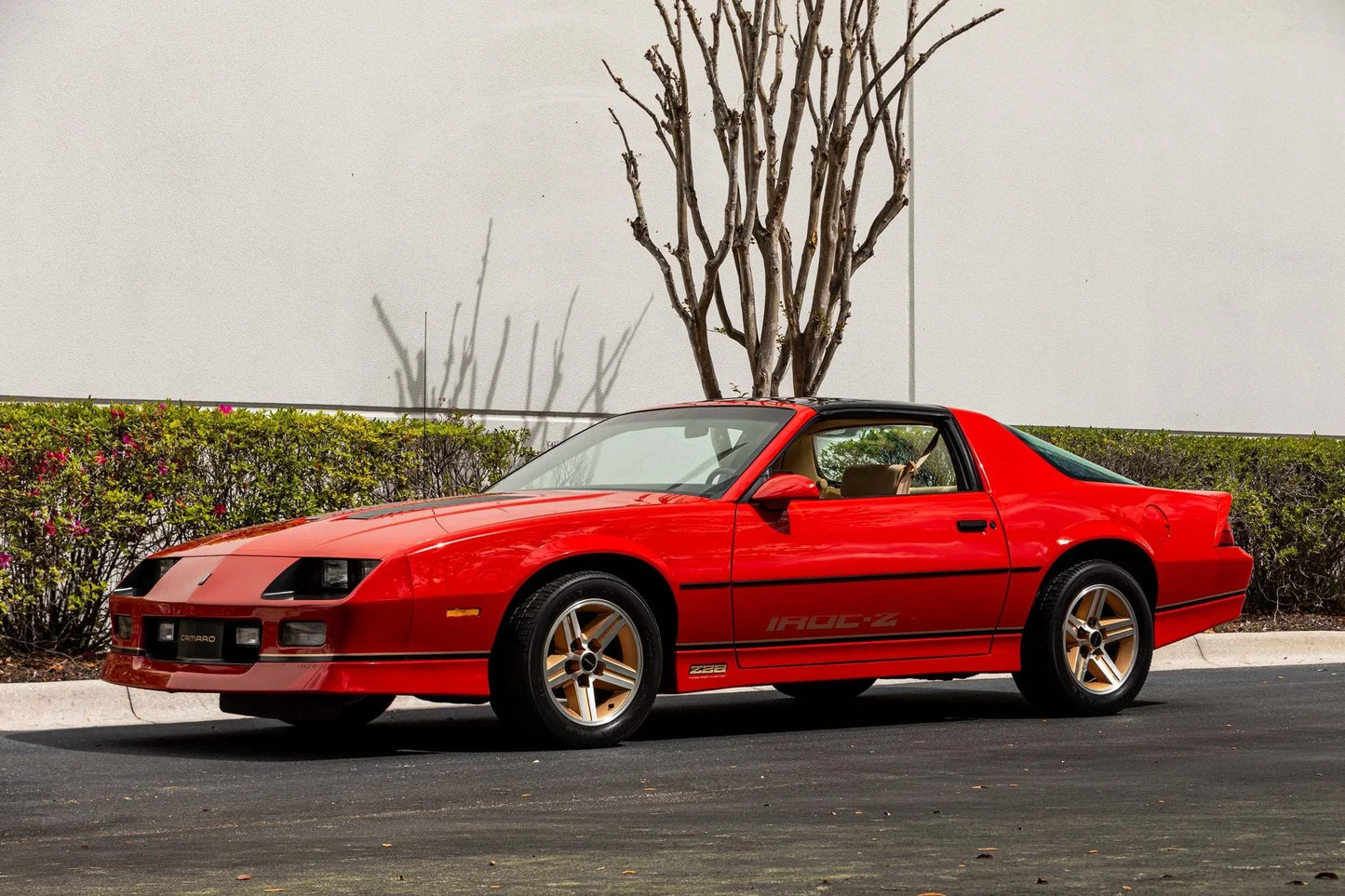 GEN. MOTORS USA VICTORY RED 81-194A / WA194A | OEMatch Basecoat