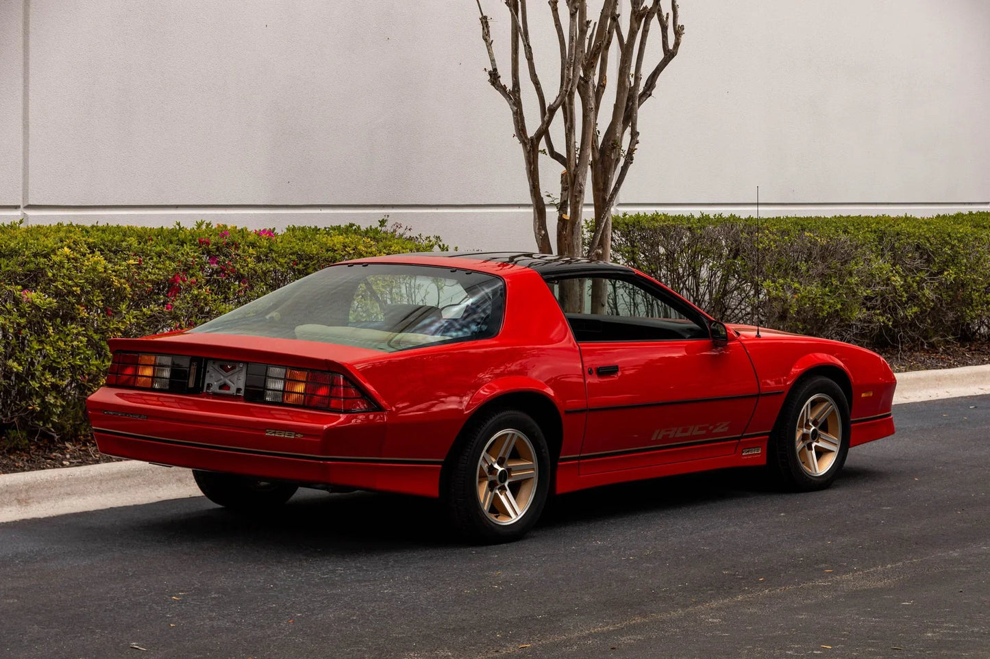 GEN. MOTORS USA VICTORY RED 81-194A / WA194A | OEMatch Basecoat