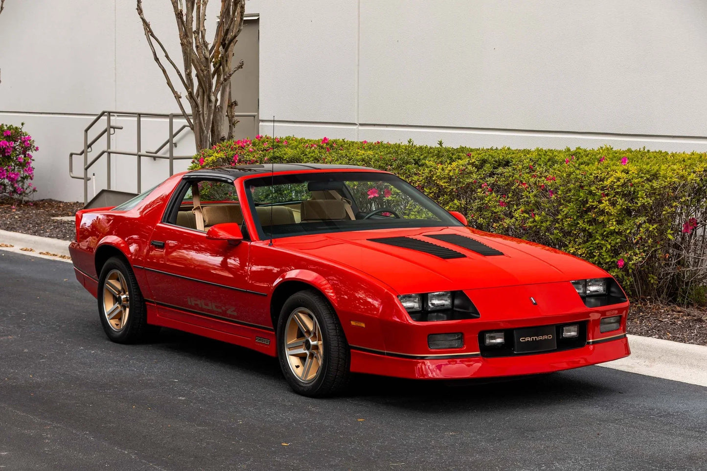 GEN. MOTORS USA VICTORY RED 81-194A / WA194A | OEMatch Basecoat