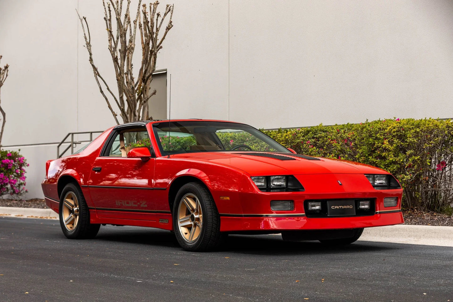 GEN. MOTORS USA VICTORY RED 81-194A / WA194A | OEMatch Basecoat