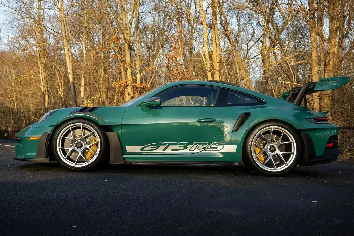 Porsche Smyrna Green 6210 | OEMatch Basecoat