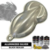 Aluminized Silver Motorcycle Paint Kit