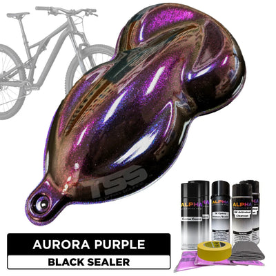 Aurora Purple Bike Paint Kit