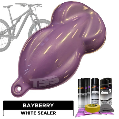 Bayberry Bike Paint Kit