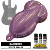 Bayberry Guitar Paint Kit
