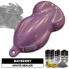 Bayberry Motorcycle Paint Kit