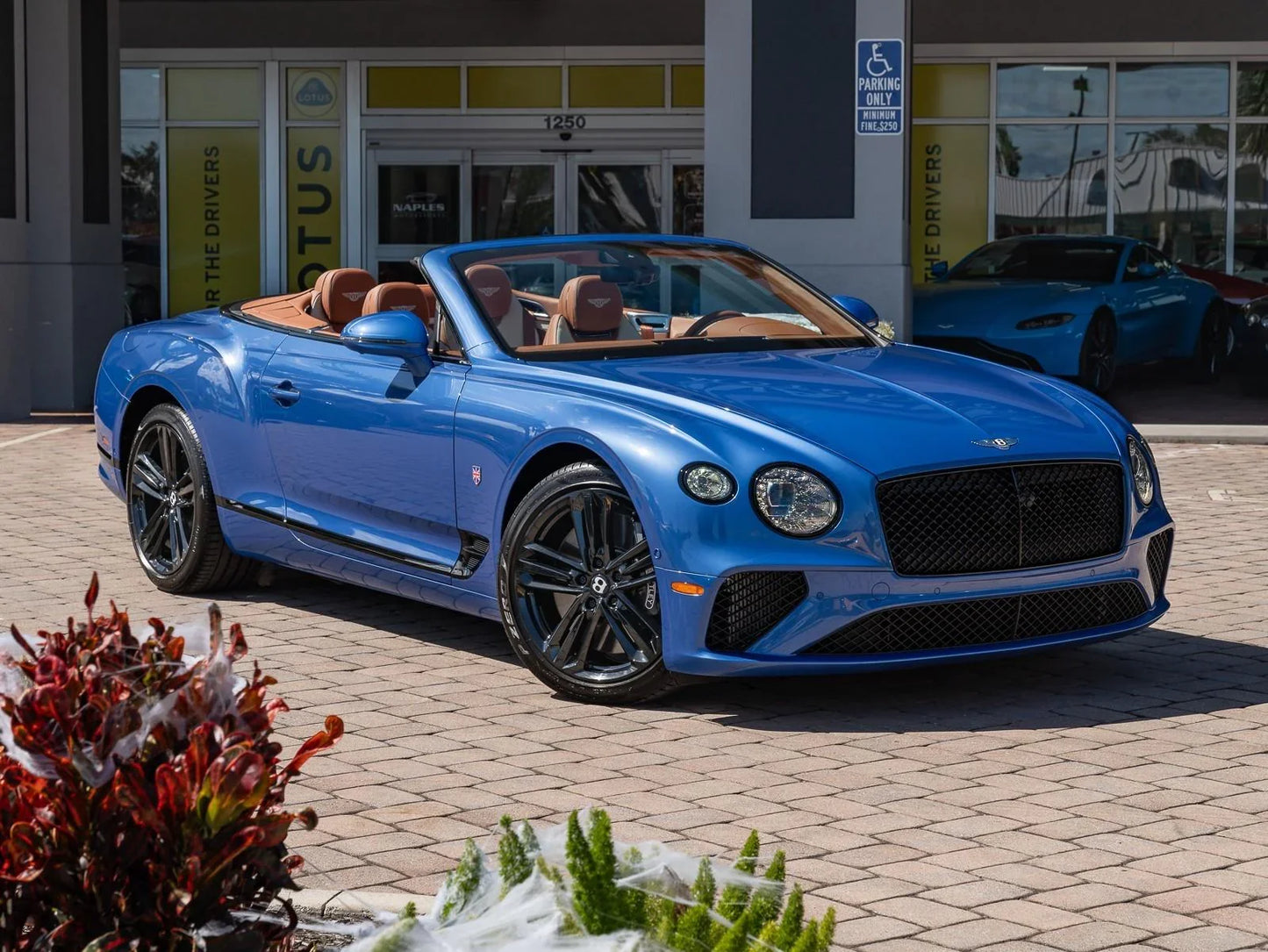 BENTLEY NEPTUNE M. K5W | OEMatch Basecoat