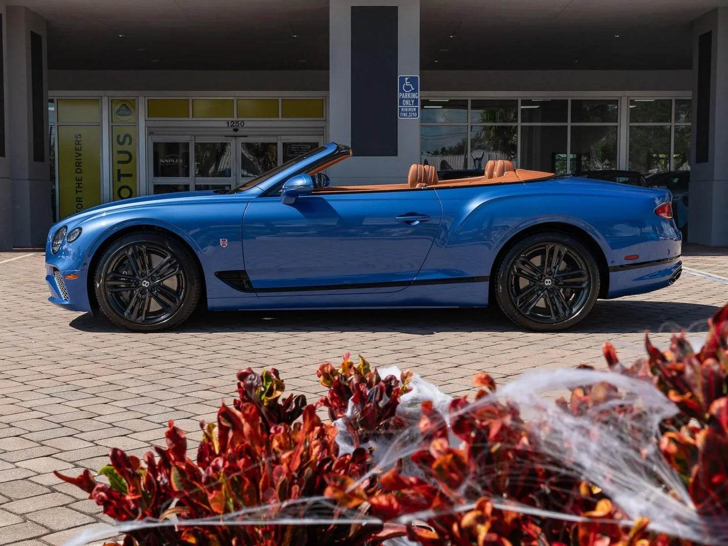 BENTLEY NEPTUNE M. K5W | OEMatch Basecoat