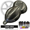 Cadet Gray Wheel Paint Kit