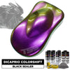 Dicaprio Colorshift Motorcycle Paint Kit