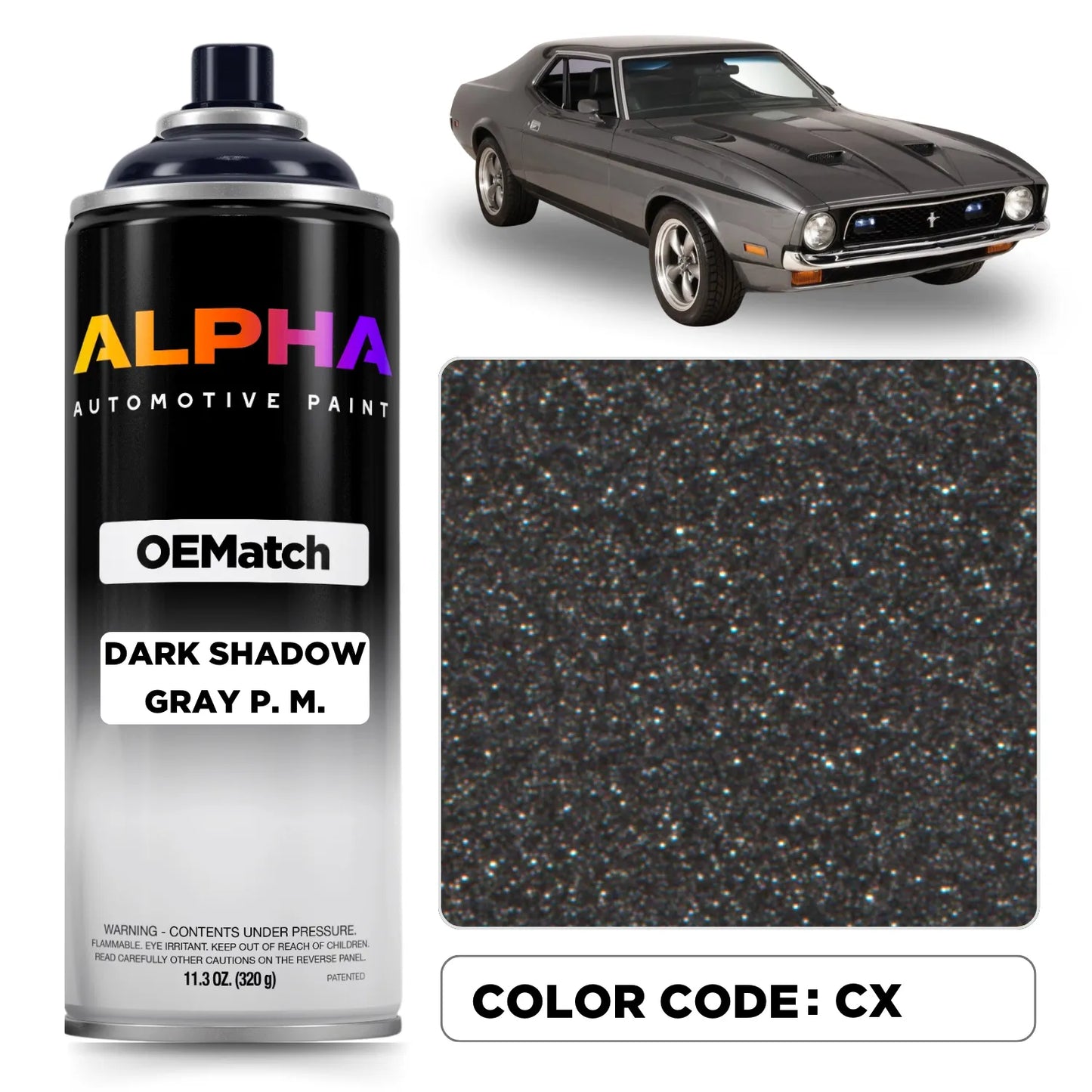 Ford Dark Shadow Gray P. M. CX | OEMatch Spray Can