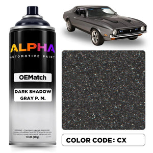 Ford  Dark Shadow Gray P. M. CX | OEMatch Spray Can