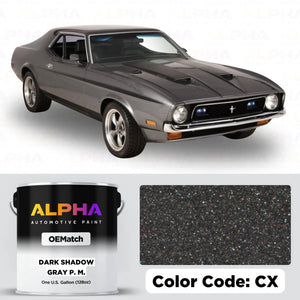 Ford Dark Shadow Gray P. M. CX | OEMatch Basecoat