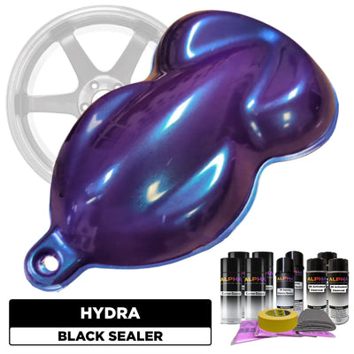 Hydra Wheel Paint Kit