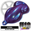 Hydra Wheel Paint Kit