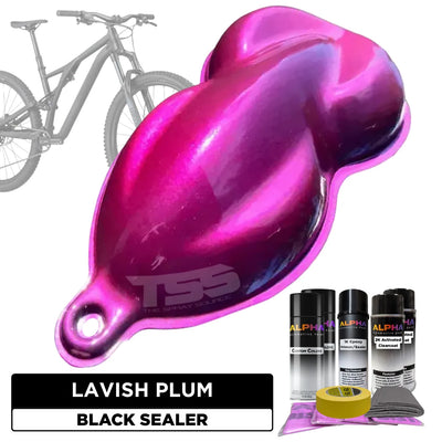 Lavish Plum Bike Paint Kit