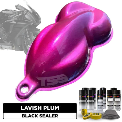 Lavish Plum Motorcycle Paint Kit