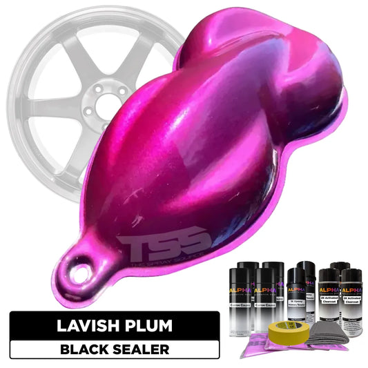 Lavish Plum Wheel Paint Kit