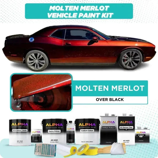 Molten Merlot Vehicle Paint Kit