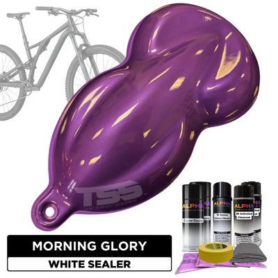 Morning Glory Bike Paint Kit