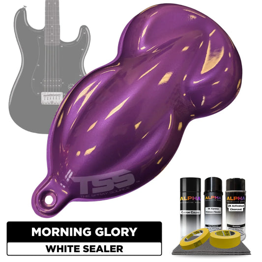 Morning Glory Guitar Paint Kit