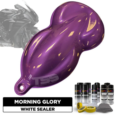 Morning Glory Motorcycle Paint Kit