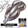 Pink Elegance Bike Paint Kit