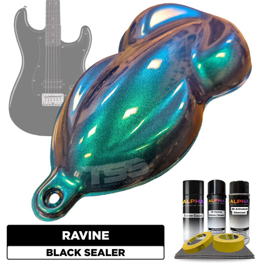 Ravine Guitar Paint Kit