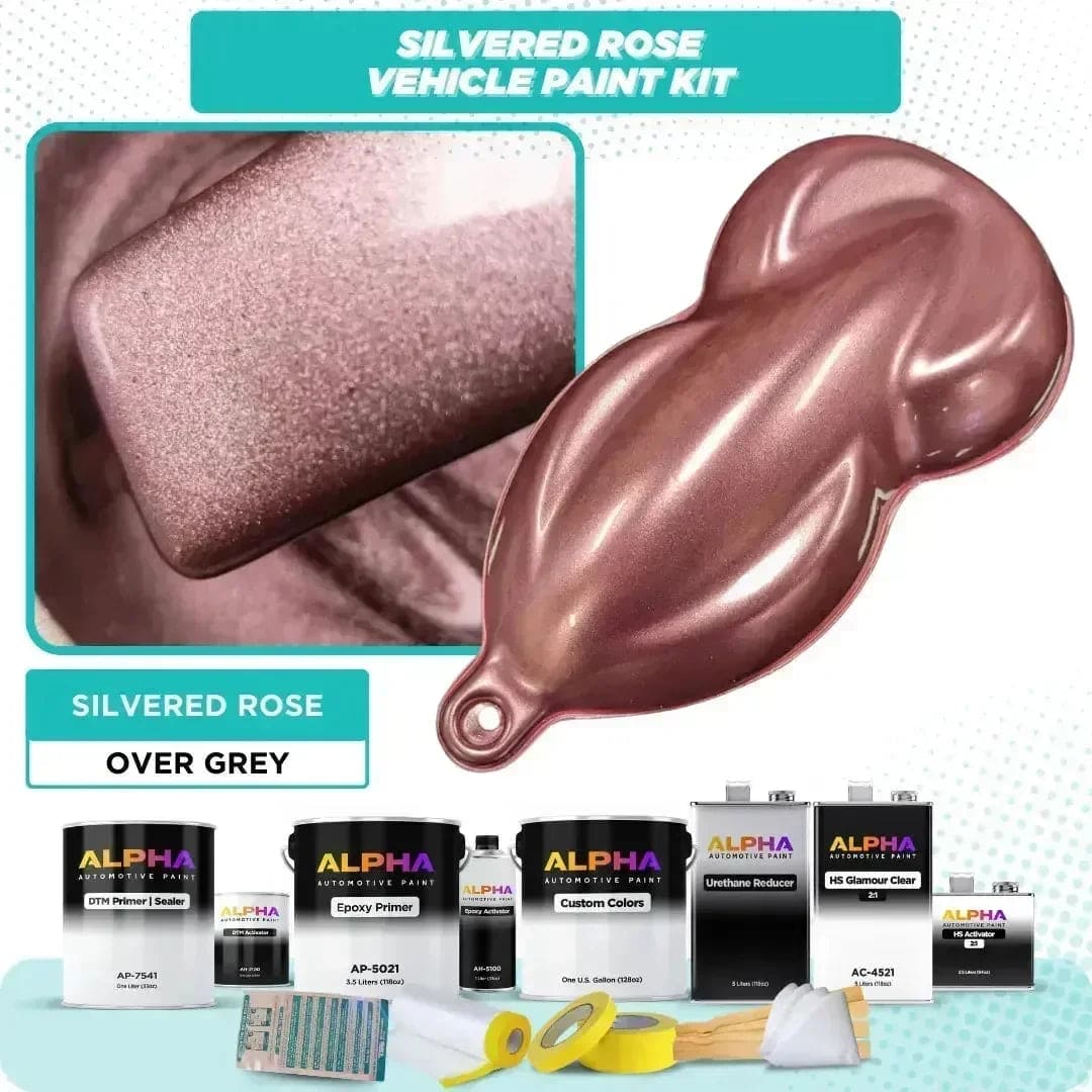 Silvered Rose Vehicle Paint Kit