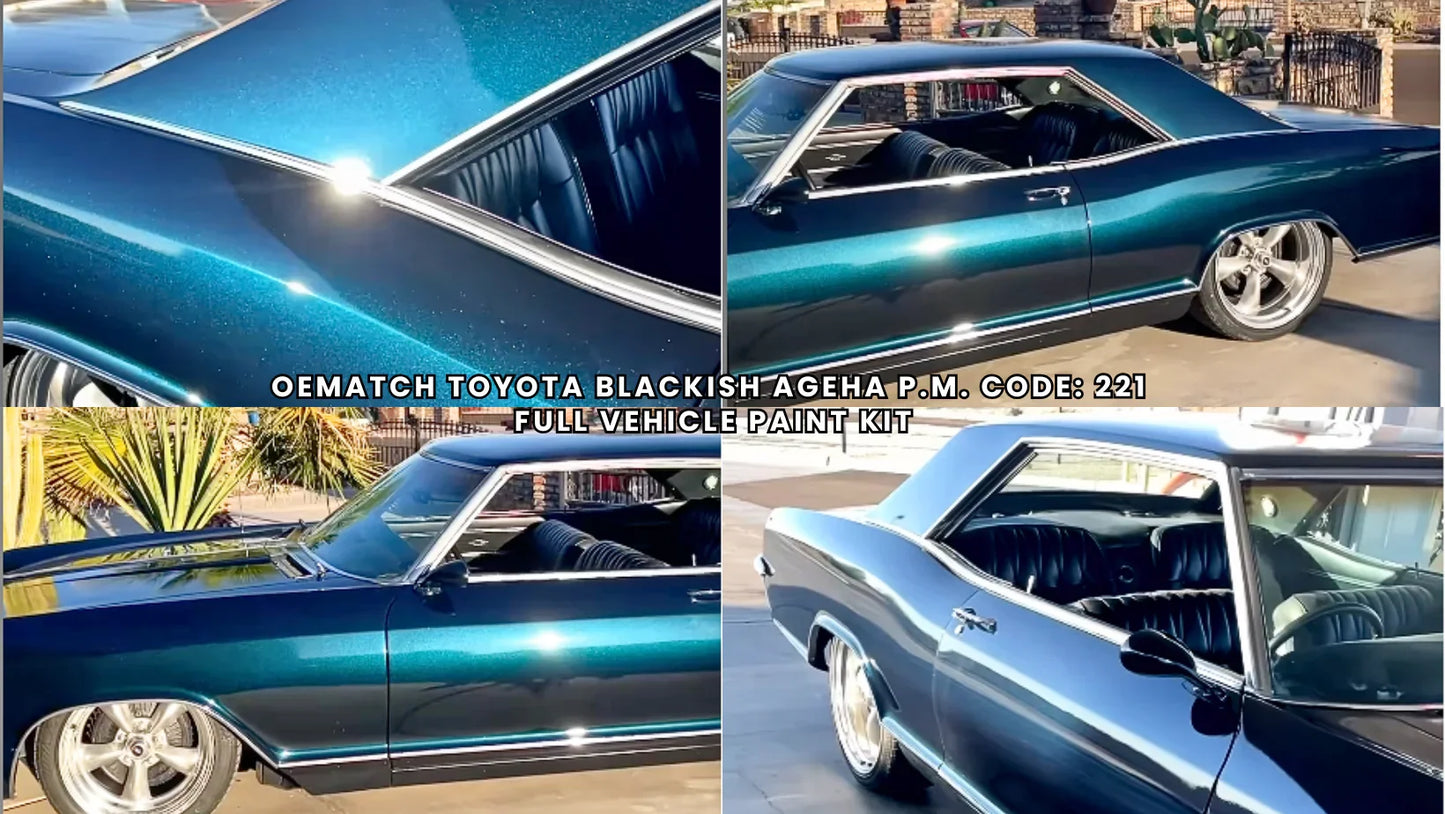 Toyota Blackish Ageha P. M. 221 | OEMatch Vehicle Paint Kit