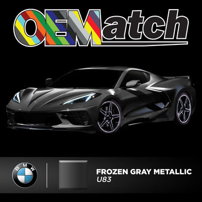 BMW Frozen Gray Metallic | OEM Drop-In Pigment - The Spray Source - Alpha Pigments