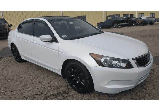 Peruvian White Car Kit (White Ground Coat) - The Spray Source - Alpha Pigments