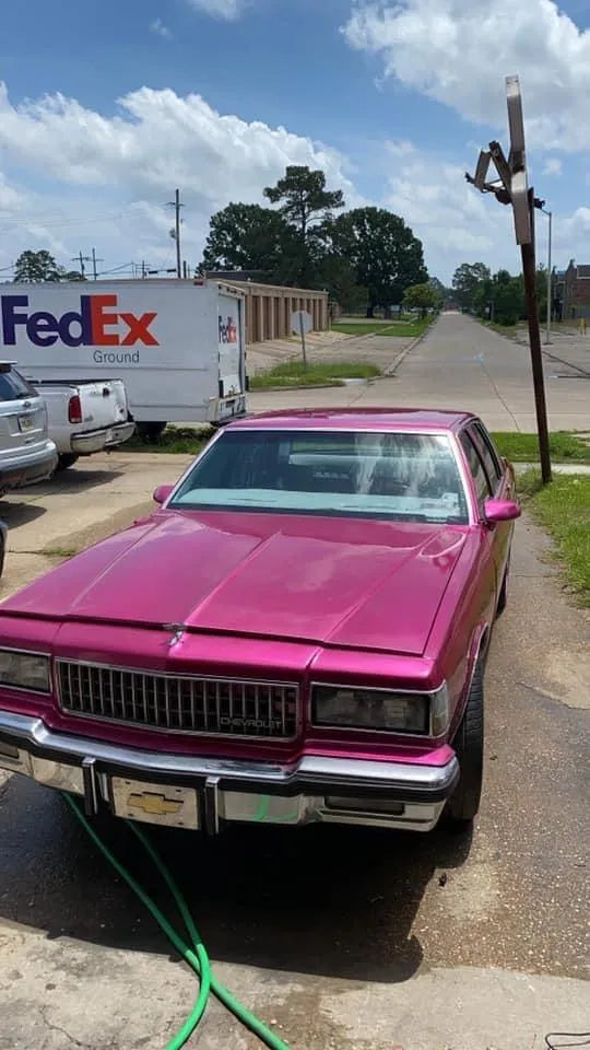 You Cant Sit With Us Pink Metallic Basecoat - Tamco Paint - Custom Color - The Spray Source - Tamco Paint