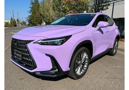 RAL BLAULILA 4005 Paint Job: Lexus DIY Build Guide