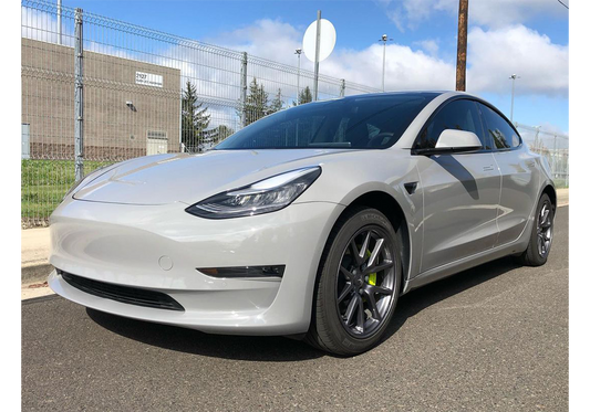 Leo-nardo Gray Paint Job: Tesla DIY Build Guide