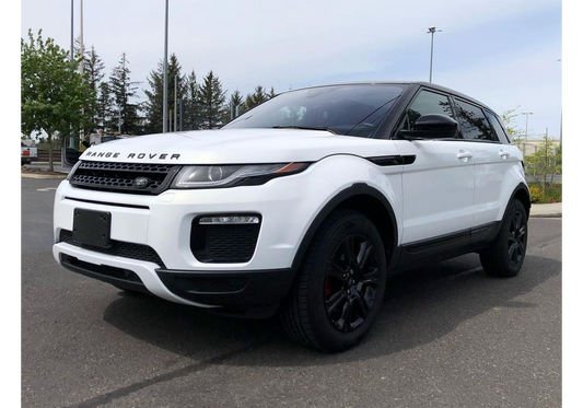 Diamond Gold Paint Job: Range Rover DIY Build Guide
