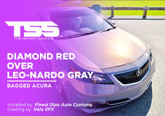 DIAMOND RED OVER LEO-NARDO GRAY | HALO EFX | BAGGED ACURA - The Spray Source