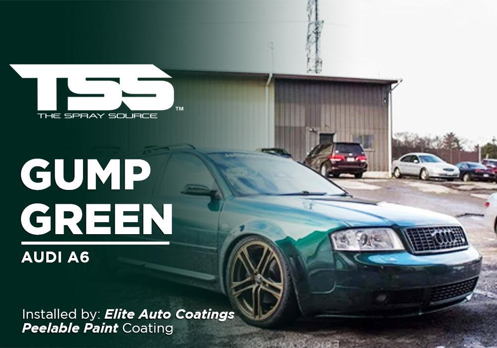 Gump Green Audi S6 By Elite Auto Coatings - The Spray Source