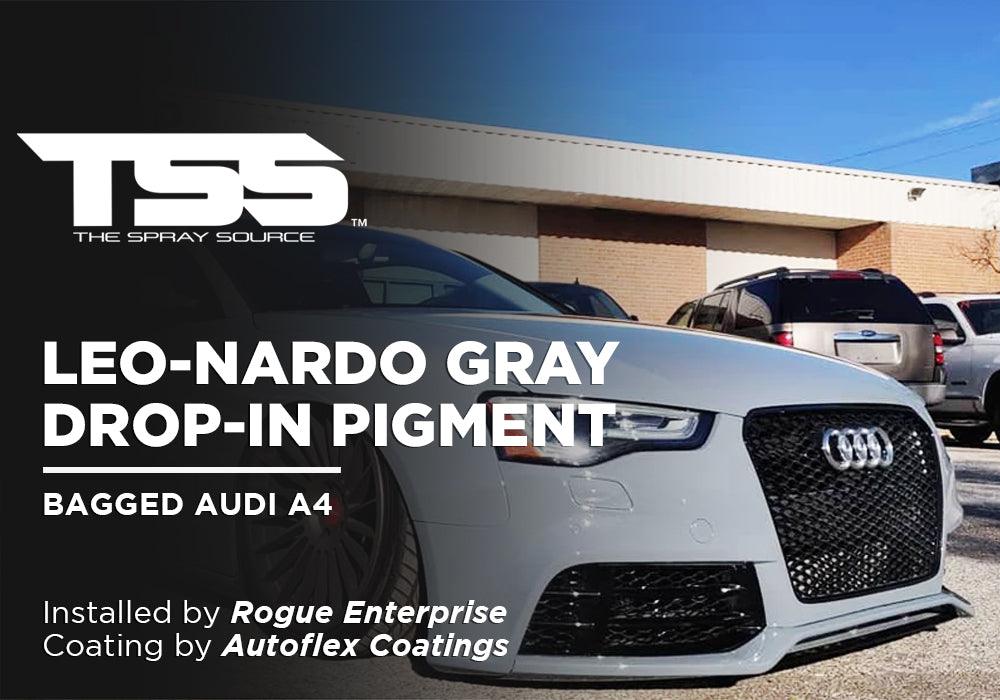 LEO-NARDO GRAY DROP-IN PIGMENT | AUTOFLEX COATINGS | BAGGED AUDI A4 - The Spray Source