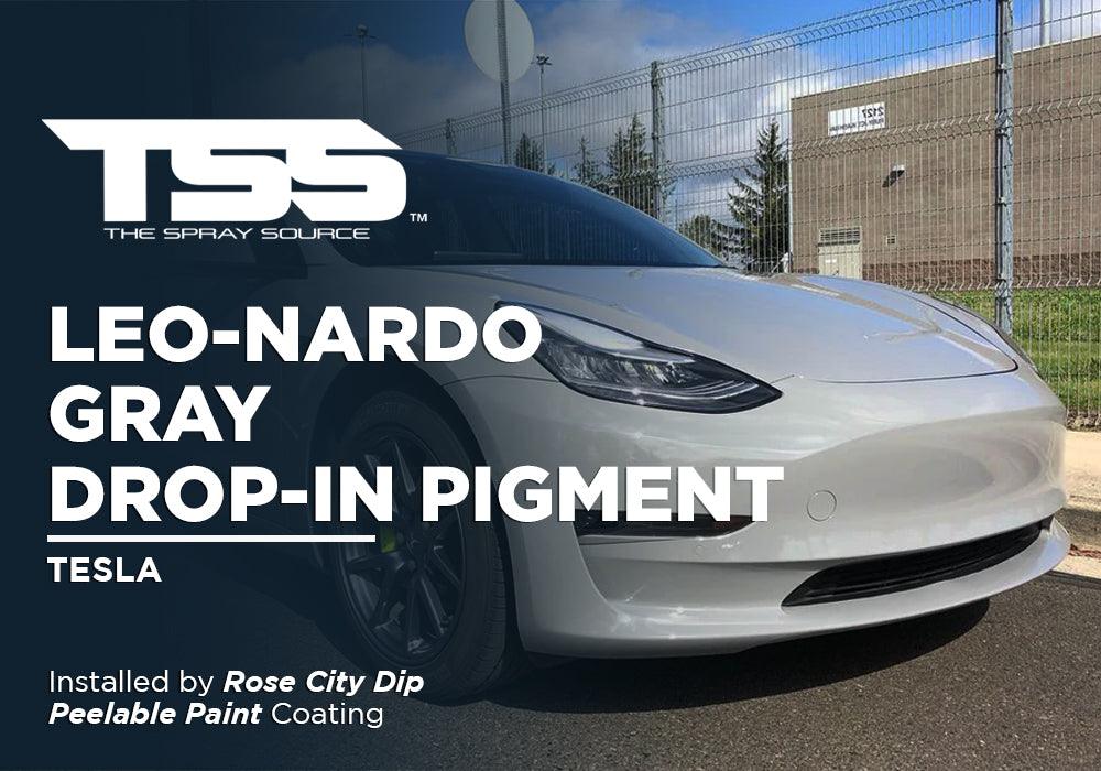 LEO-NARDO GRAY DROP-IN PIGMENT | PEELABLE PAINT | TESLA - The Spray Source