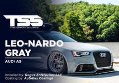 Leo-Nardo Gray on Audi A5