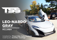 Leo-Nardo Gray on McLaren