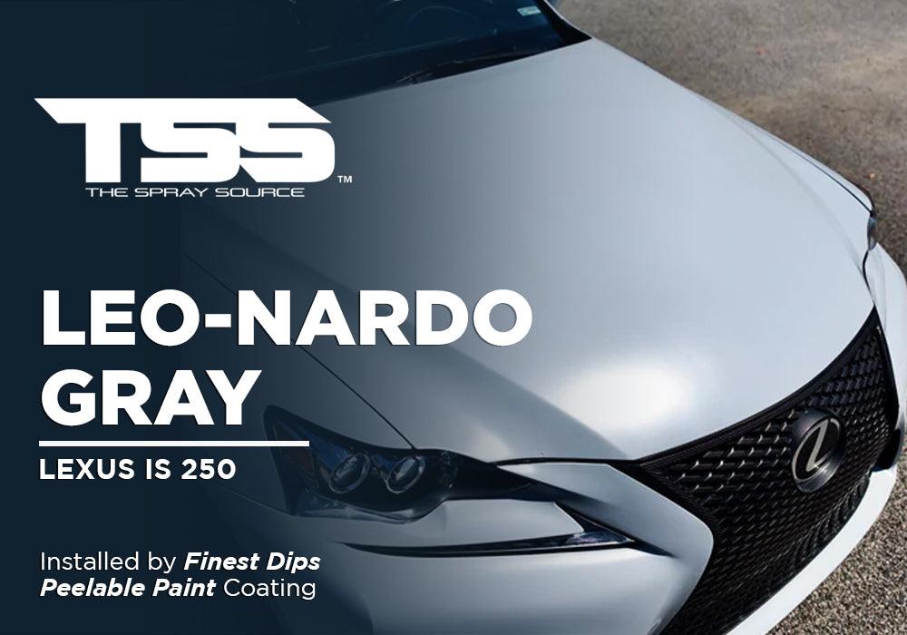 LEO-NARDO GRAY | PEELABLE PAINT | LEXUS IS 250 - The Spray Source