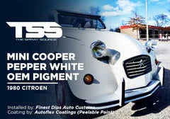 Mini Cooper "Pepper White" OEM Pigment on 1980 Citroen