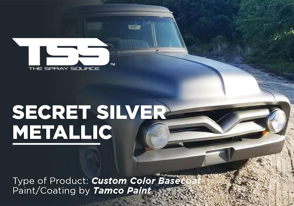 SECRET SILVER METALLIC PROJECT PHOTOS - The Spray Source