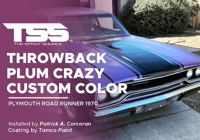 THROWBACK PLUM CRAZY CUSTOM COLOR | TAMCO PAINT | PLYMOUTH ROAD RUNNER 1970