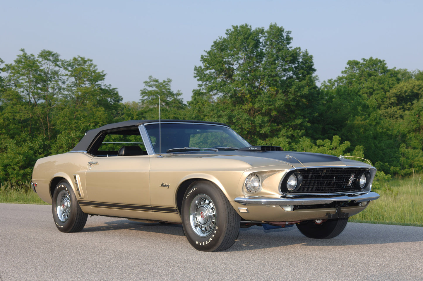 FORD CHAMPAGNE GOLD M. 03 / 294 | OEMatch Basecoat