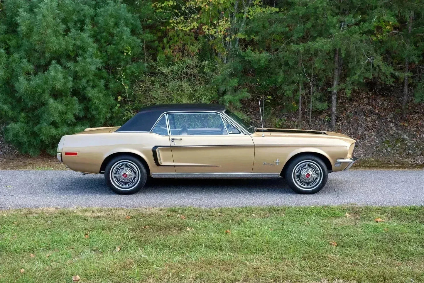 Ford Desert Gold Metallic G6 | OEMatch Basecoat