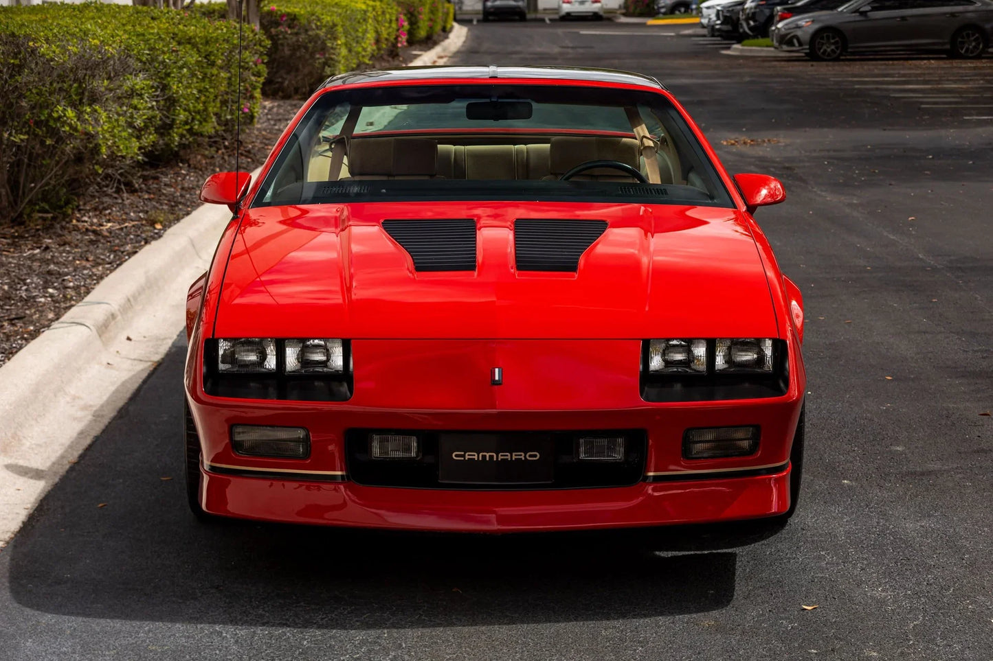 GEN. MOTORS USA VICTORY RED 81-194A / WA194A | OEMatch Basecoat