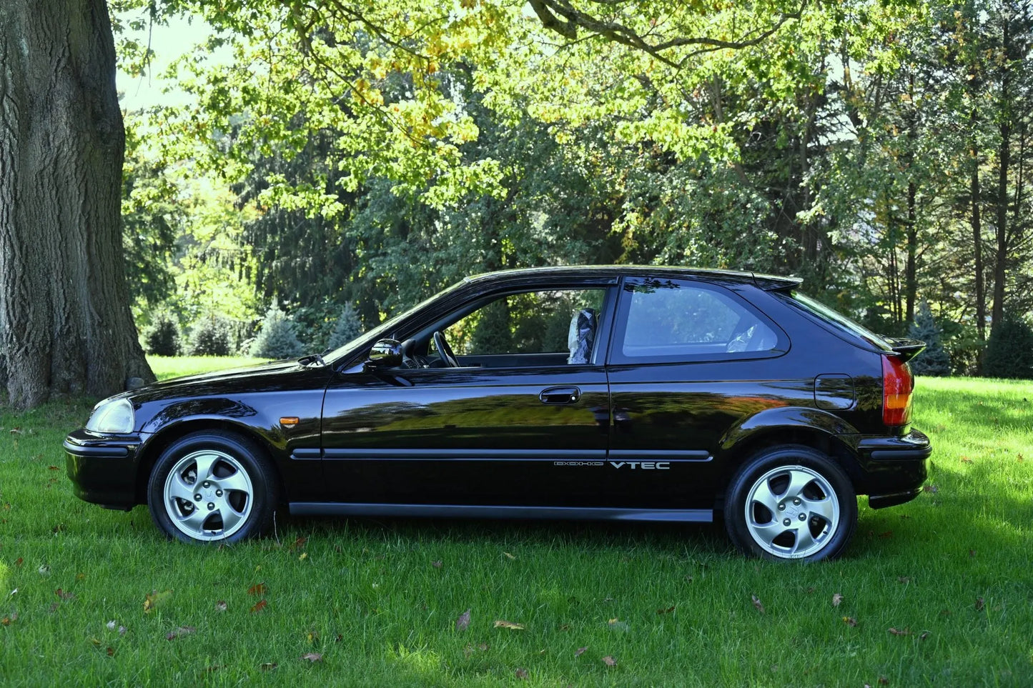 Honda Granada Black Pearl NH503P | OEMatch Basecoat